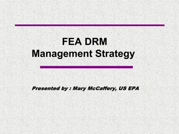 FEA DRM Management Strategy