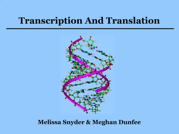 Transcription And Translation