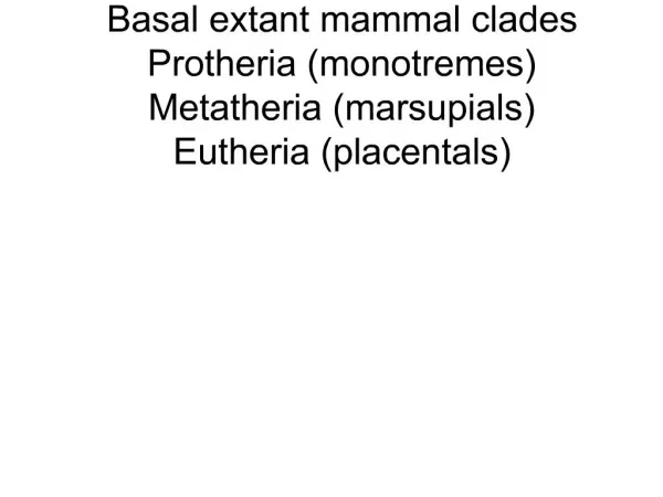 Basal extant mammal clades Protheria monotremes Metatheria marsupials Eutheria placentals