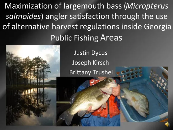Maximization of largemouth bass Micropterus salmoides angler satisfaction through the use of alternative harvest regulat