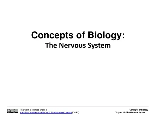 Concepts of Biology: The Nervous System