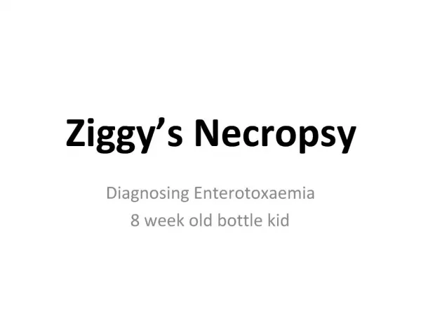 Ziggy s Necropsy