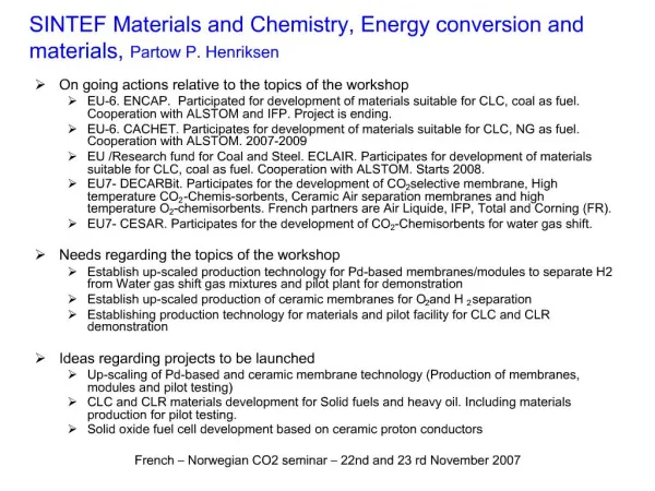SINTEF Materials and Chemistry, Energy conversion and materials, Partow P. Henriksen