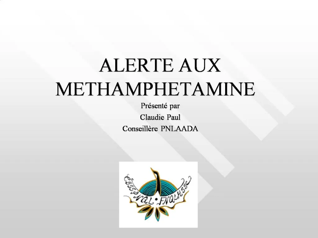 PPT - ALERTE AUX METHAMPHETAMINE PowerPoint Presentation, Free Download ...