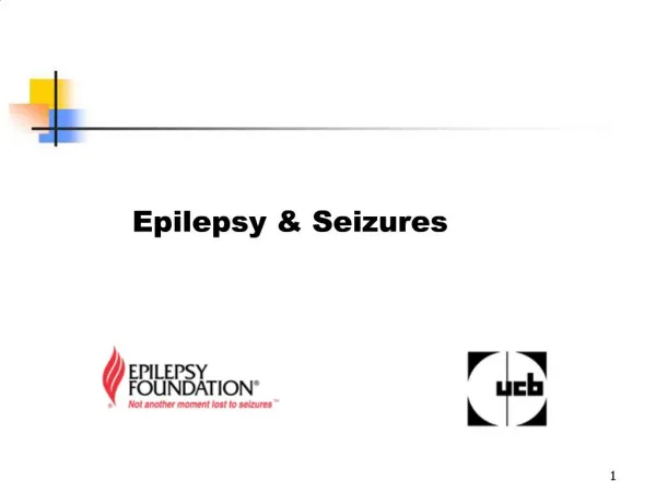 Epilepsy Seizures