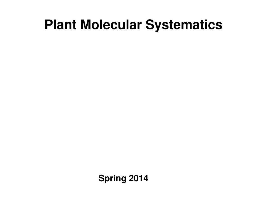 plant molecular systematics