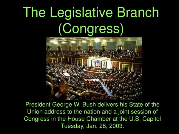 The Legislative Branch (Congress)