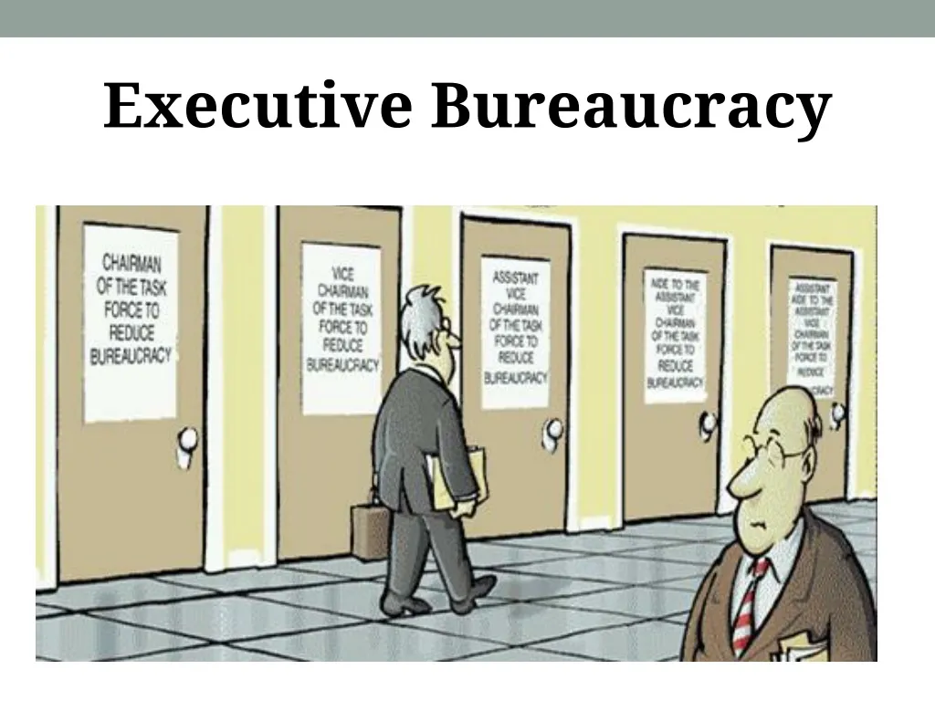 executive bureaucracy