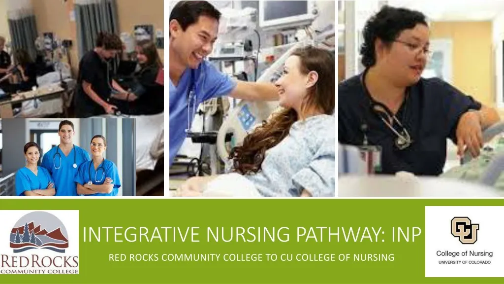 integrative nursing pathway inp
