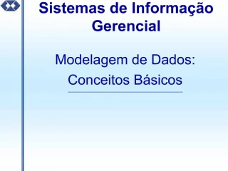 Sistemas de Informa o Gerencial - slide 1