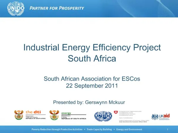 Industrial Energy Efficiency Project South Africa South African Association for ESCos 22 September 2011