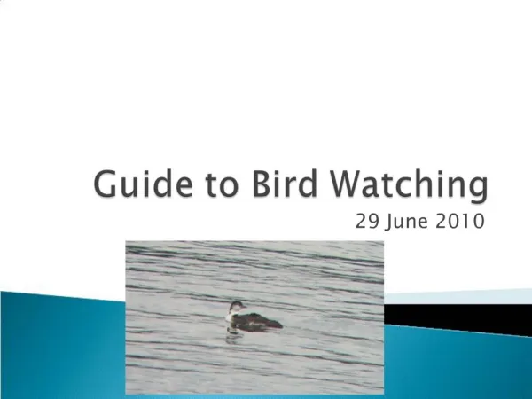 Guide to Bird Watching
