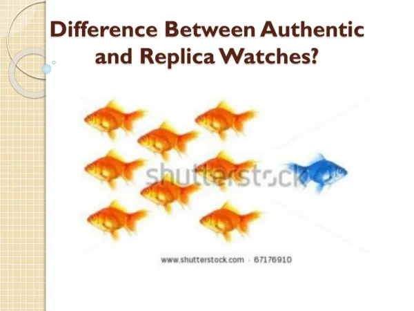Difference Between Authentic and Replica Watches
