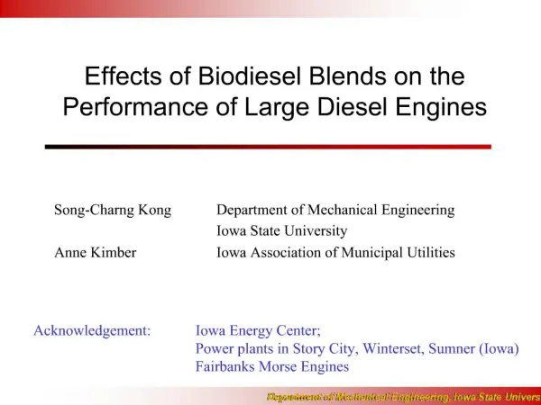 Effects of Biodiesel Blends on the Performance of Large Diesel Engines
