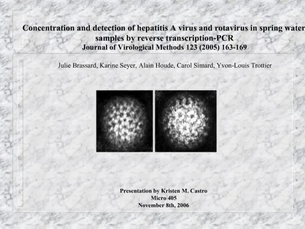 Concentration and detection of hepatitis A virus and rotavirus in spring water samples by reverse transcription-PCR Jou