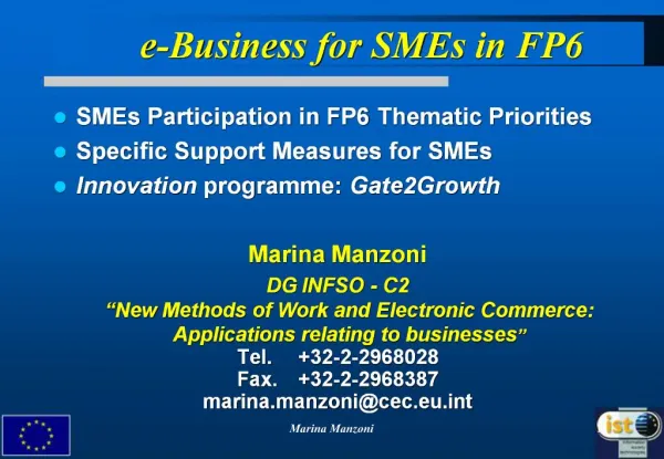 E-Business for SMEs in FP6