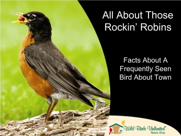 All About Those Rockin Robins