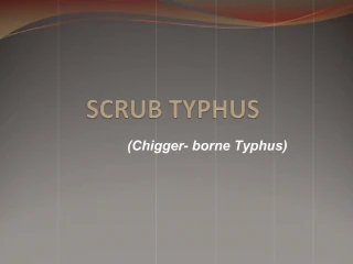 SCRUB TYPHUS - slide 1
