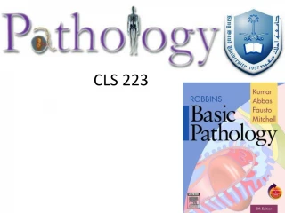 CLS 223 - slide 1