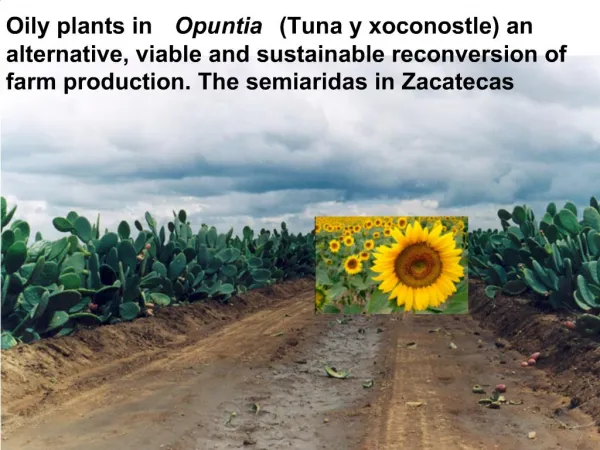 Oily plants in Opuntia Tuna y xoconostle an alternative, viable and sustainable reconversion of farm production. The se