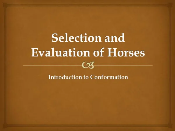 Selection and Evaluation of Horses