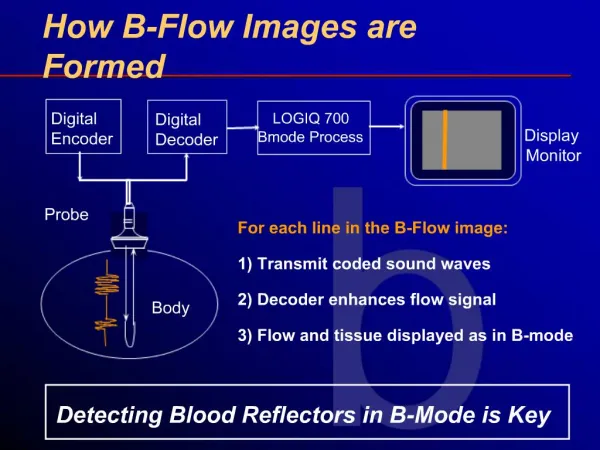 How B-Flow Images are Formed
