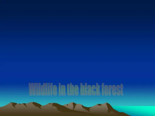 Info on the black forest, and its wildlife