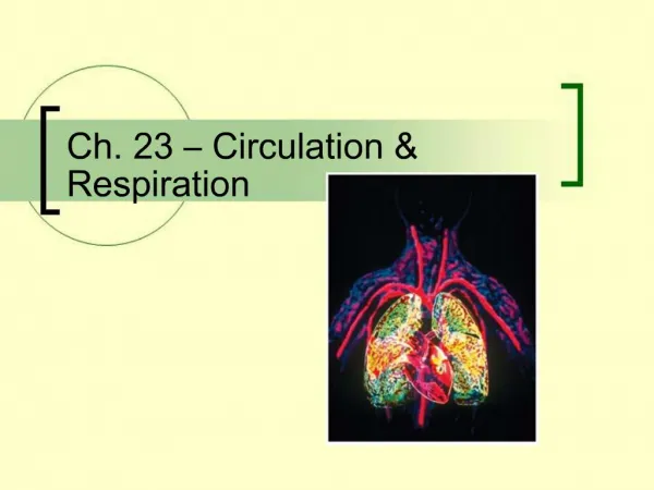 Ch. 23 Circulation Respiration