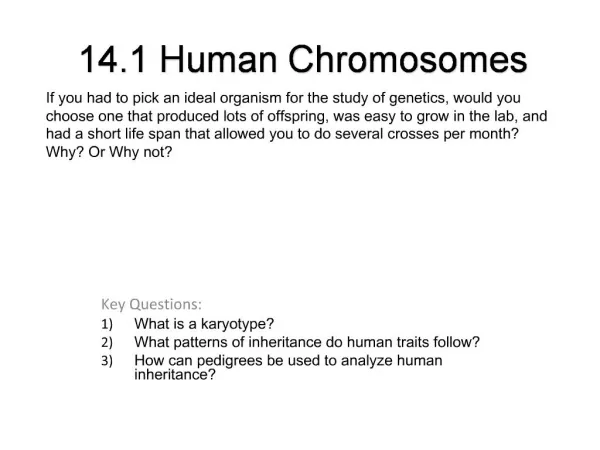 14.1 Human Chromosomes
