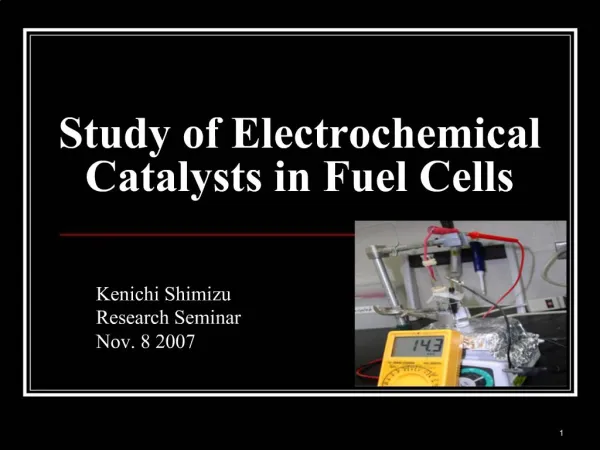Study of Electrochemical Catalysts in Fuel Cells