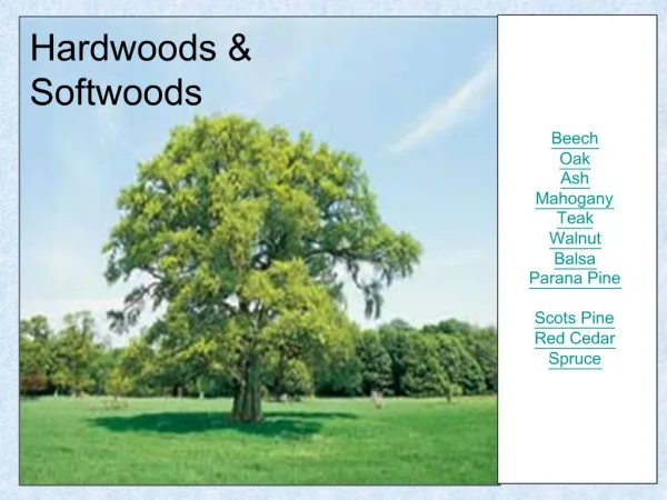 Hardwoods Softwoods