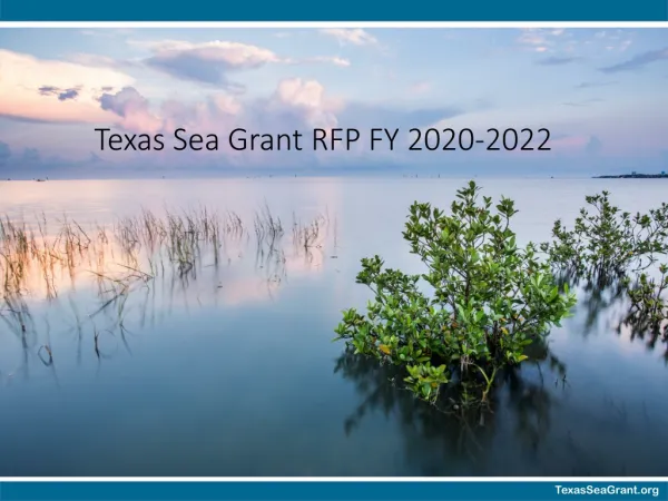 Texas Sea Grant RFP FY 2020-2022