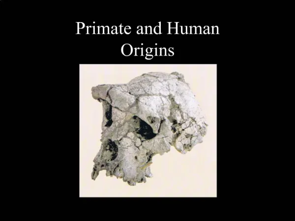 Primate and Human Origins