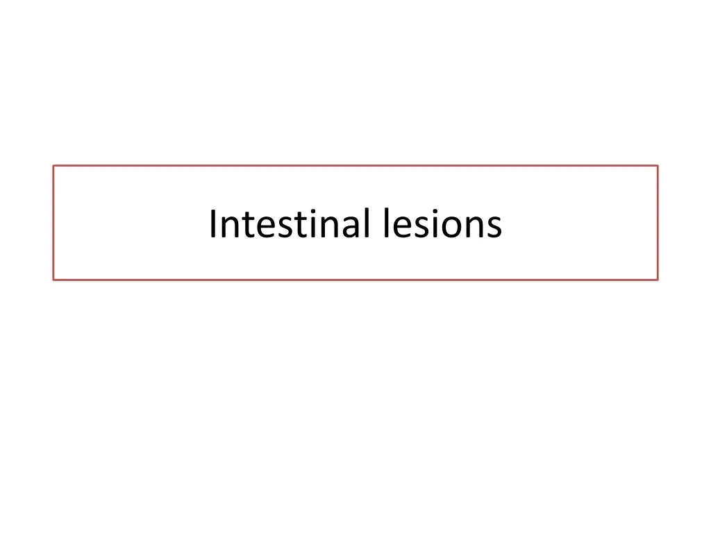 intestinal lesions