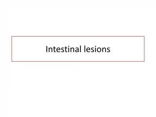 Intestinal lesions - slide 1