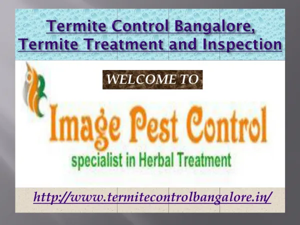 Termite Control Bangalore, Termite Treatment and Inspection - Imagepestcontrol