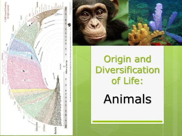 Origin and Diversification of Life: