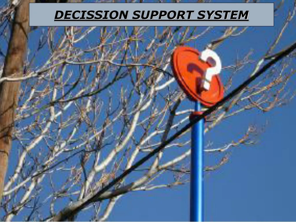 decission support system