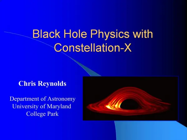 Black Hole Physics with Constellation-X