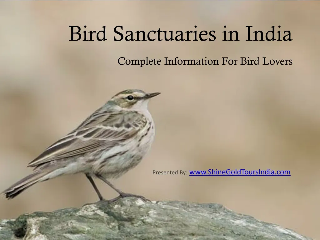 bird sanctuaries in india complete information