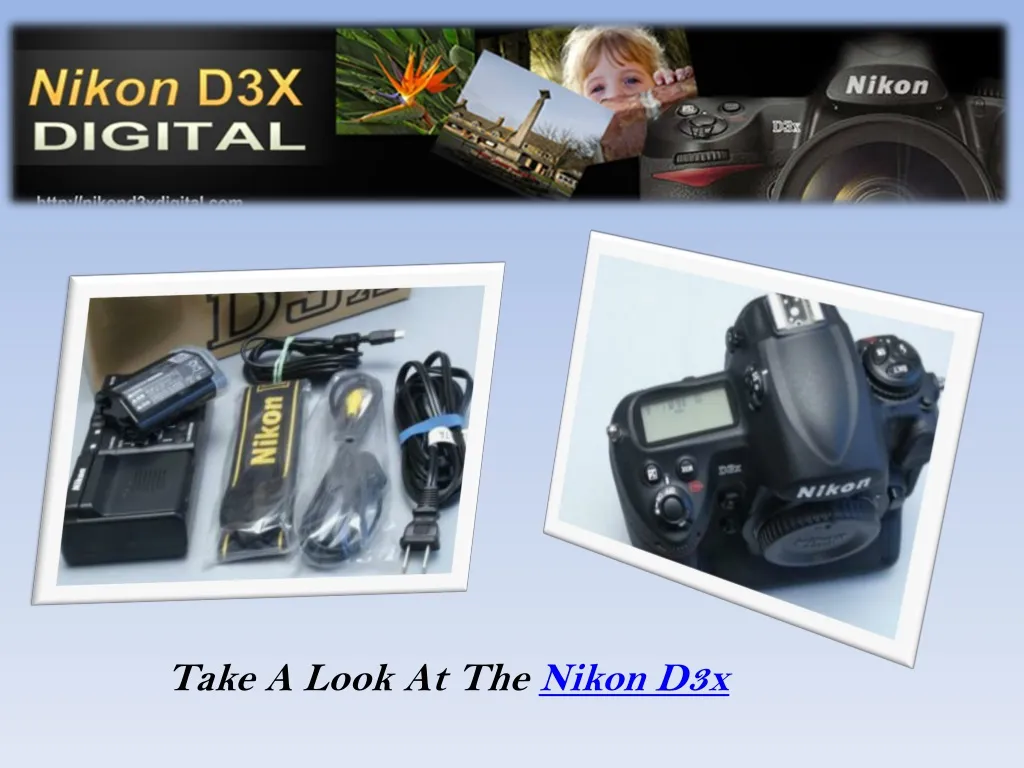 take a look at the nikon d3x