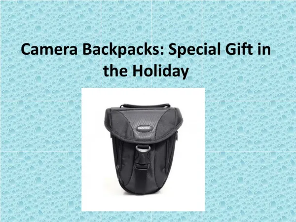 Camera Backpacks: Special Gift in the Holiday