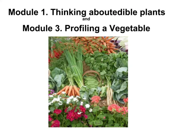 Module 1. Thinking about edible plants and Module 3. Profiling a Vegetable