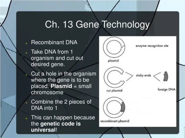 Ch. 13 Gene Technology
