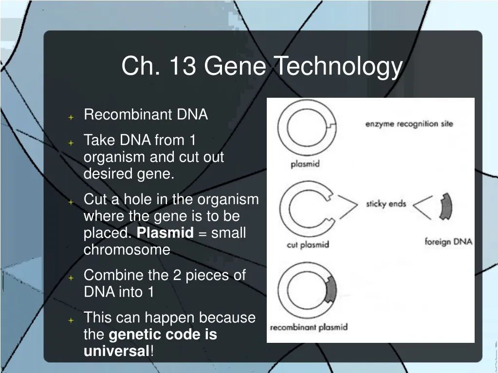ch 13 gene technology