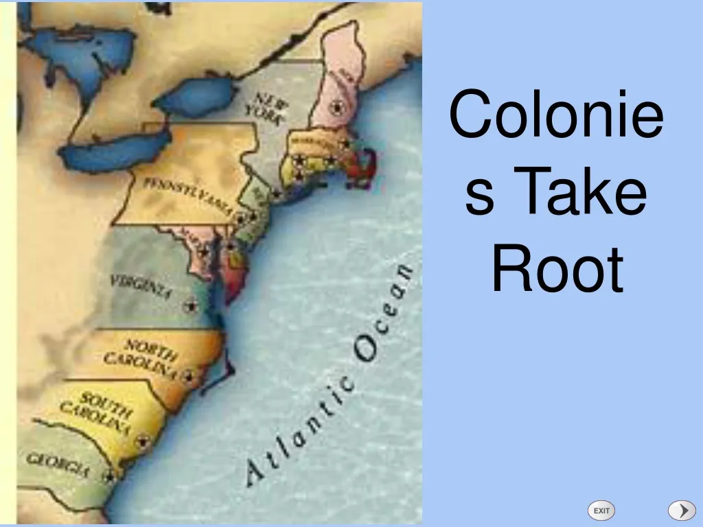 colonies take root