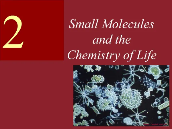 Small Molecules and the Chemistry of Life
