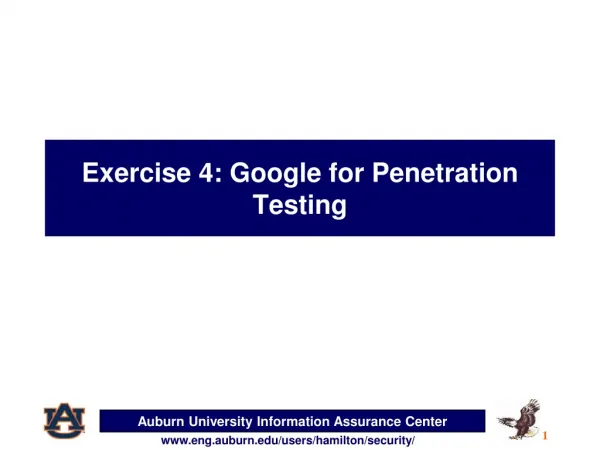 Exercise 4: Google for Penetration Testing