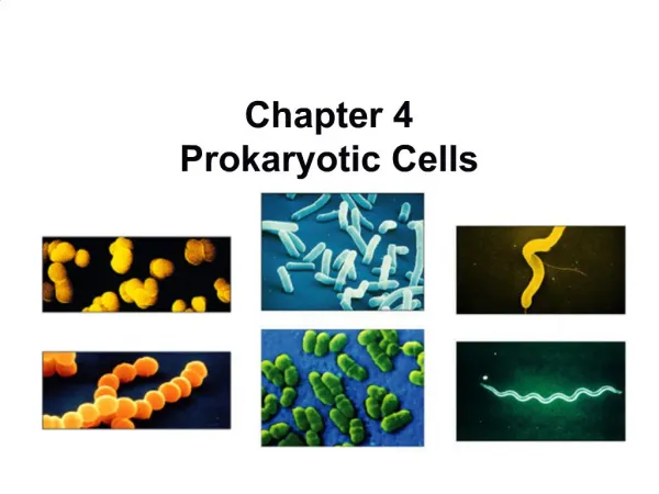 Chapter 4 Prokaryotic Cells