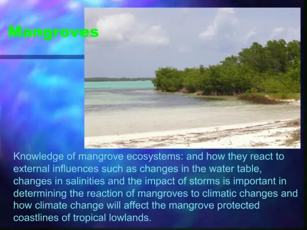 Management and Sustainable Use of Caribbean Mangrove Swamps in the Wake of the Effects of Global Climate Change and Sea